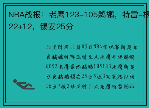 NBA战报：老鹰123-105鹈鹕，特雷-杨22+12，锡安25分